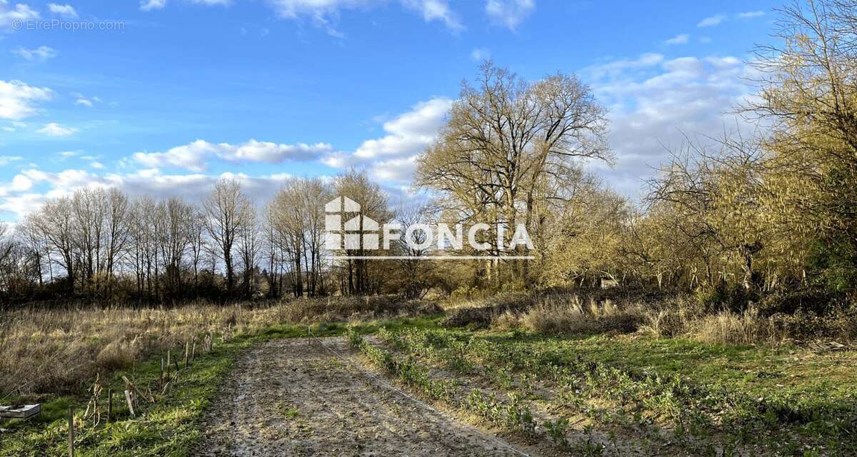 Terrain à NOYAL-CHATILLON-SUR-SEICHE