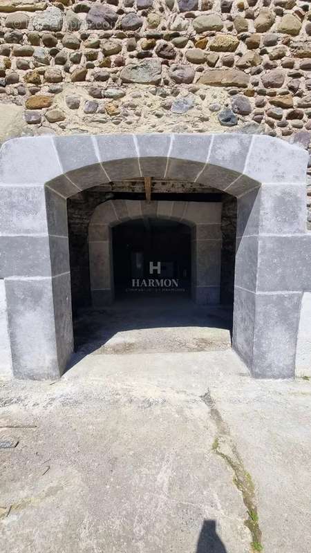 Maison à LANNE-EN-BARETOUS