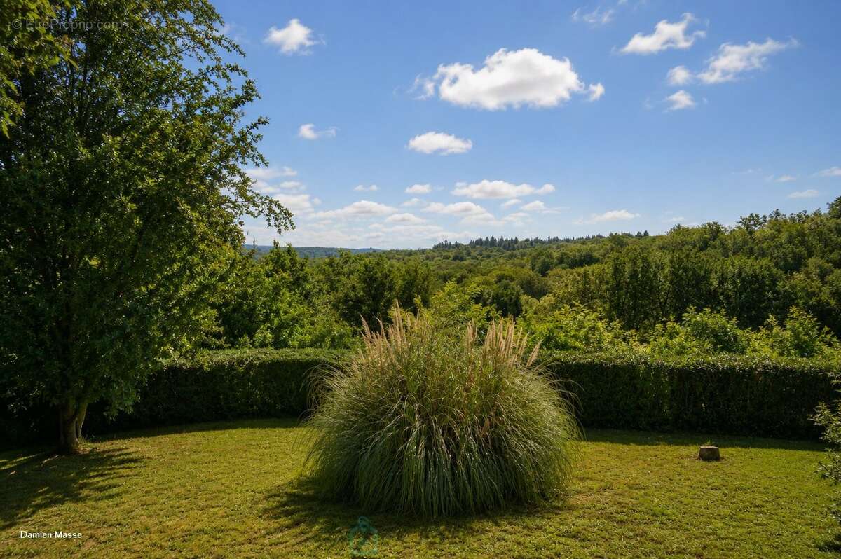 Ancienne maison forte du XIIIe siècle, au coeur du parc naturel régional du Périgord vert. - photo 25
