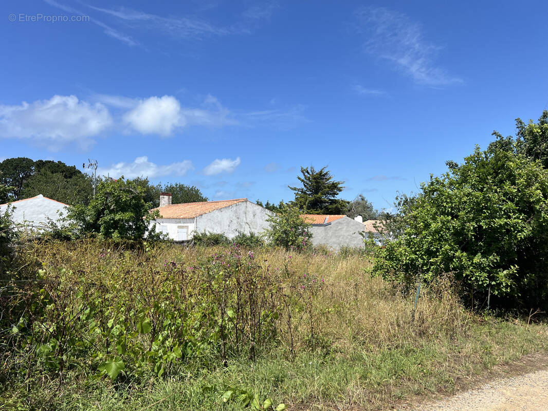 Terrain à L'ILE-D'YEU