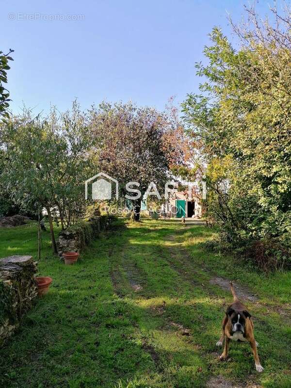 Photo 8 - Maison à CHAILLE-LES-MARAIS