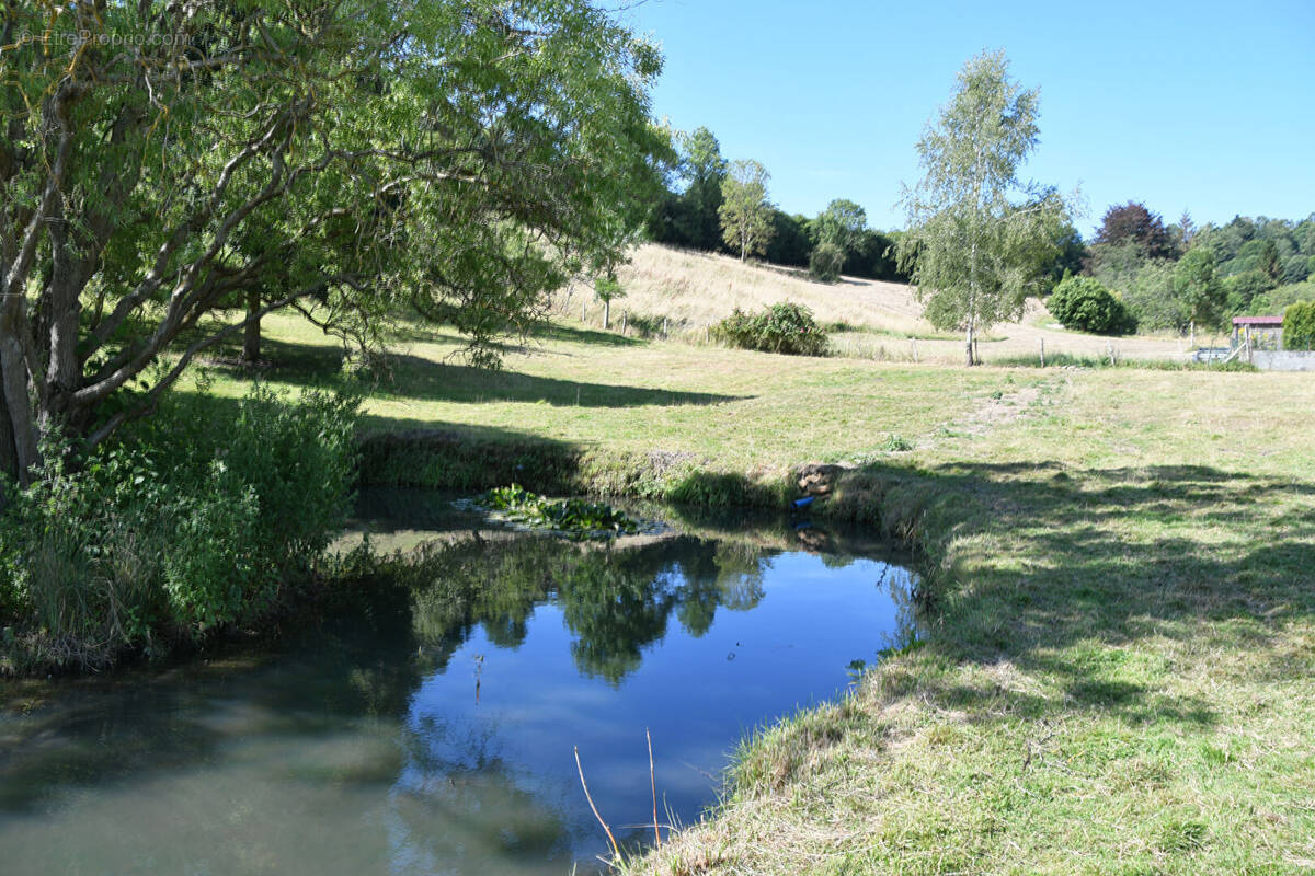 Propriété de entre ville et campagne avec bassin et mare, Sud Pays d'Auge. - photo 4