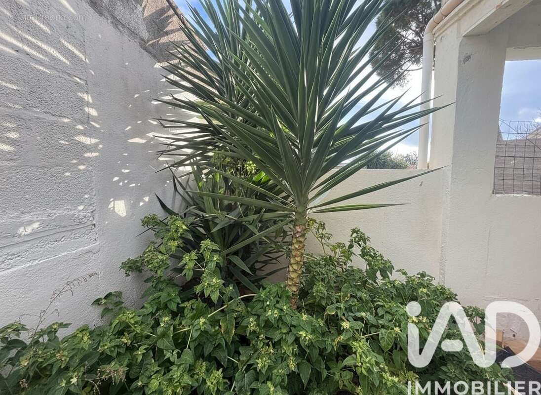 Photo 3 - Appartement à TOULON