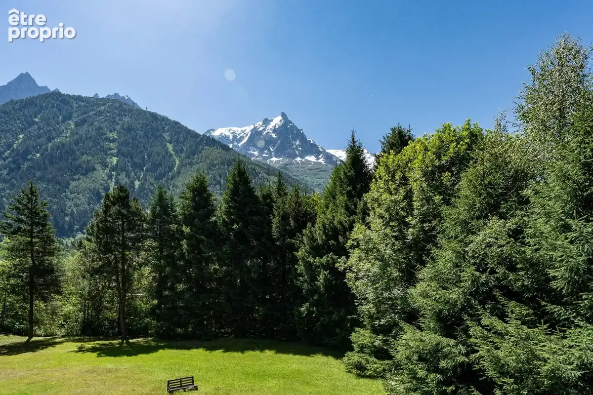 CHAMONIX - Un grand appartement lumineux de 2 chambres - photo 13
