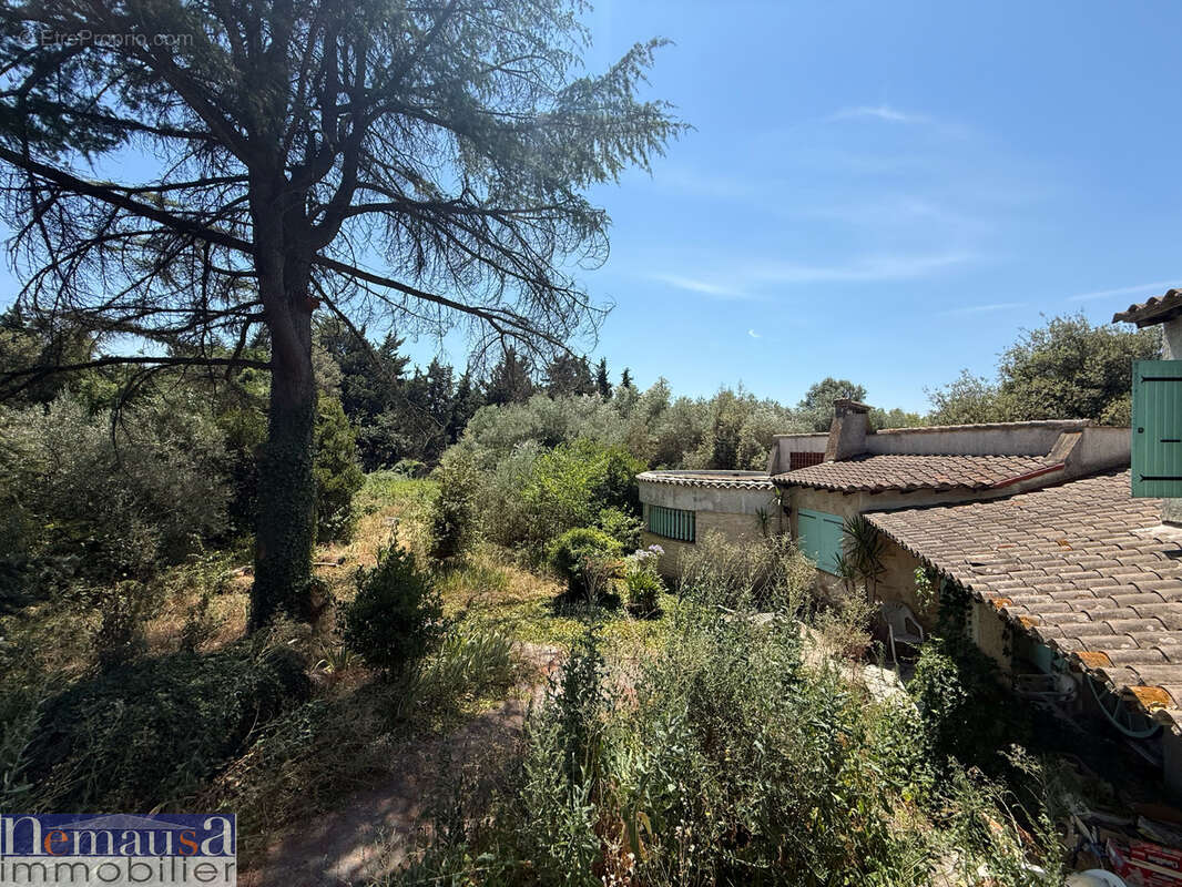 CAISSARGUES - Maison de 220m2 avec grande parcelle - photo 2