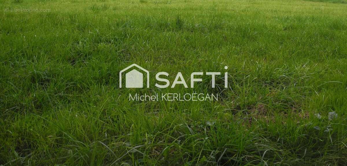 Photo 2 - Terrain à MESCHERS-SUR-GIRONDE