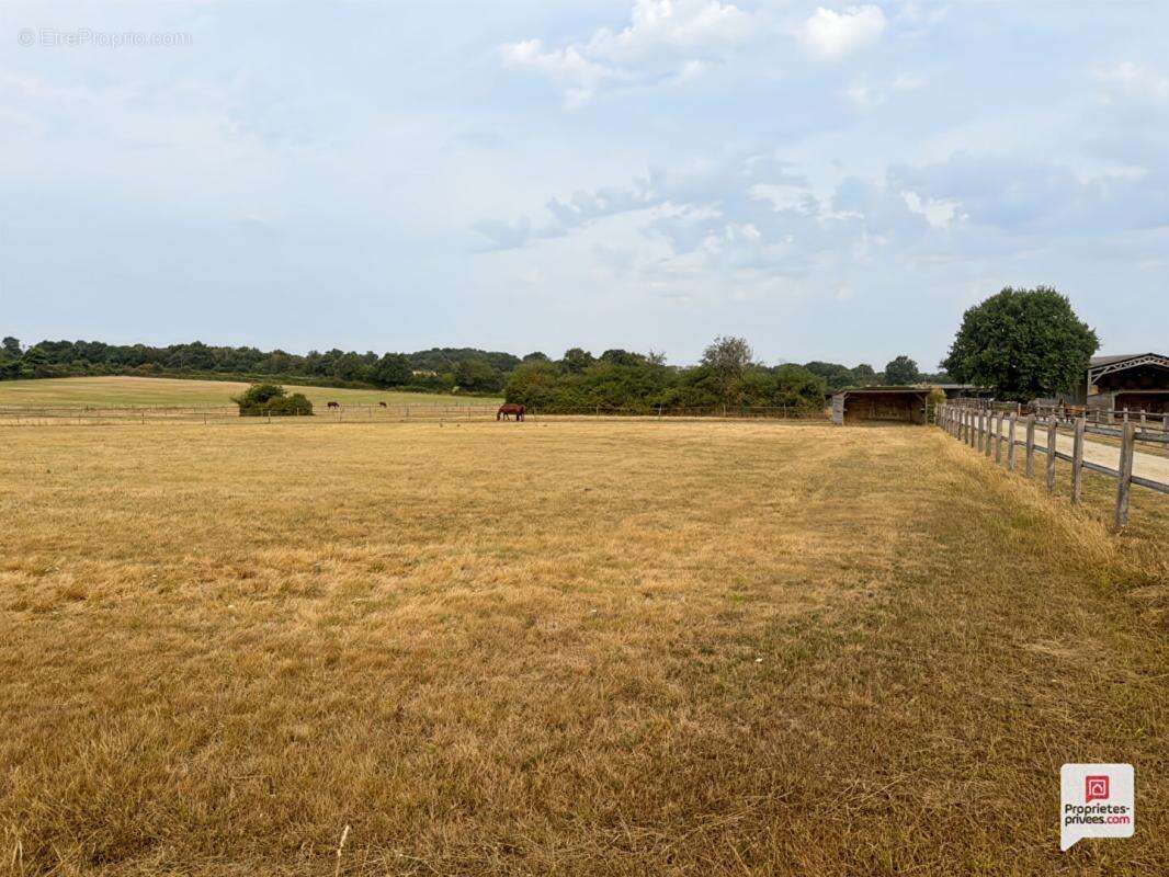 Propriété equestre Erdre En Anjou 7 pièce(s) 169 m2 - photo 10