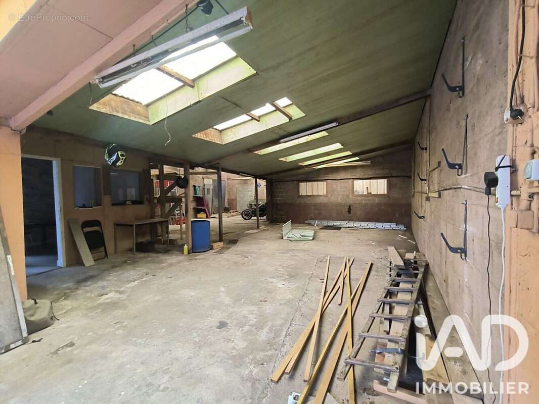 Photo 5