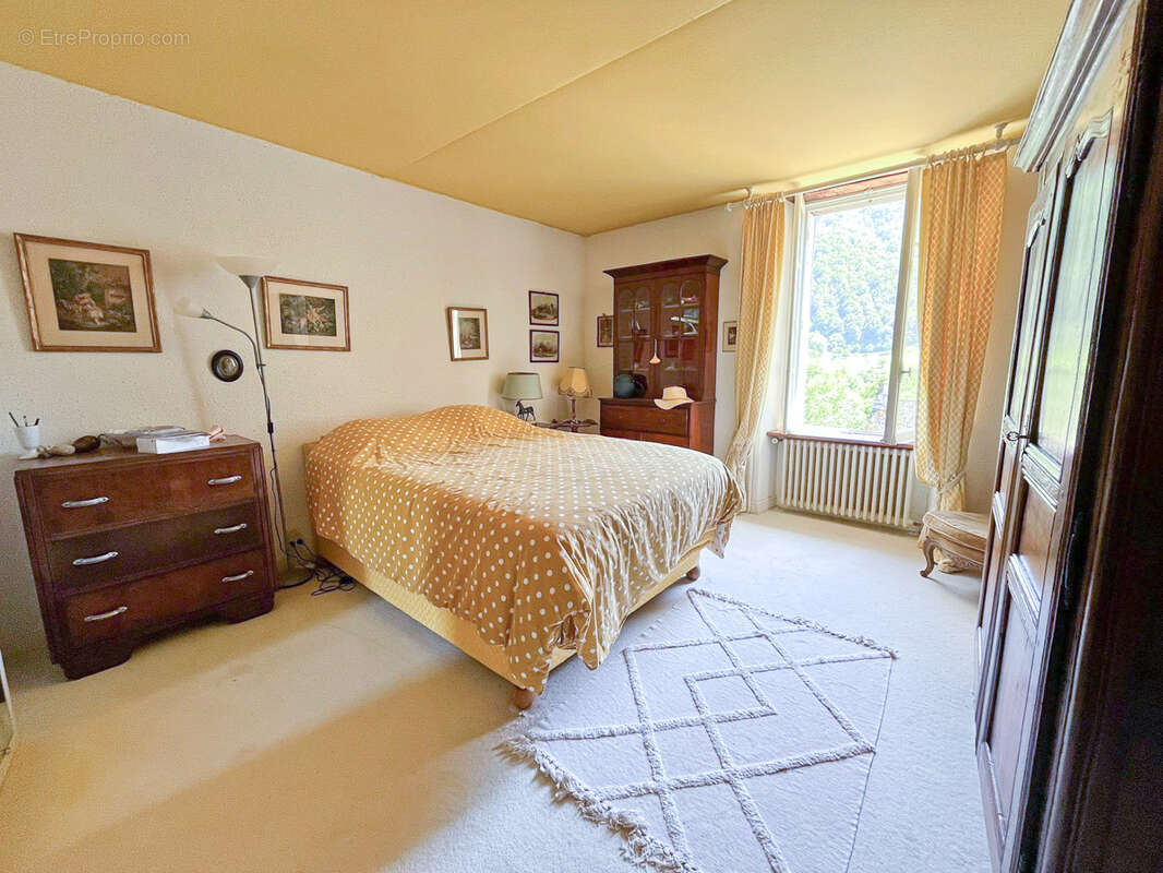 CANTAL, Château des Sources à vendre - photo 18