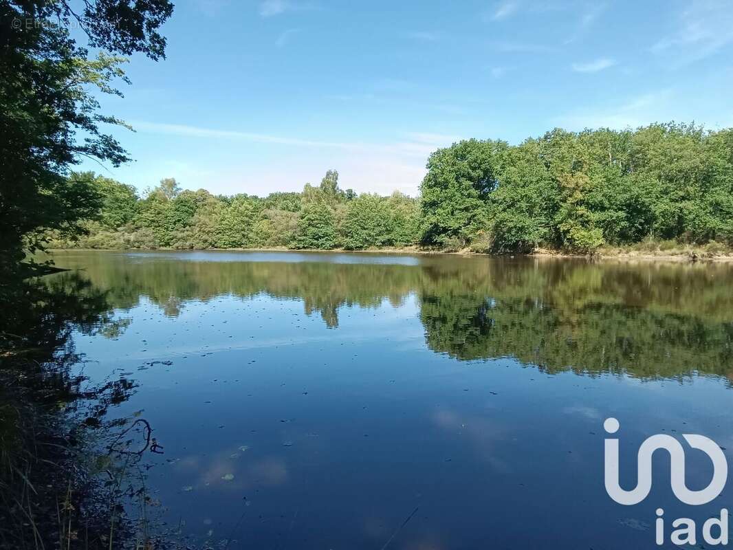 Photo 3 - Terrain à BORD-SAINT-GEORGES