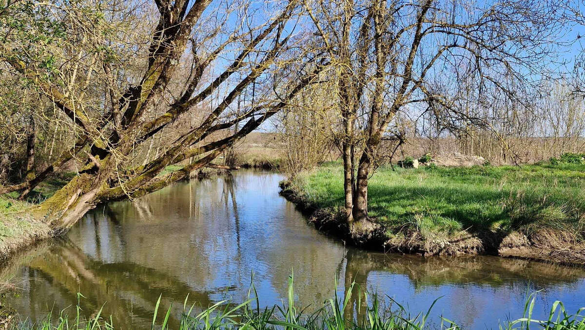 Maison à SAINT-FORT-SUR-GIRONDE