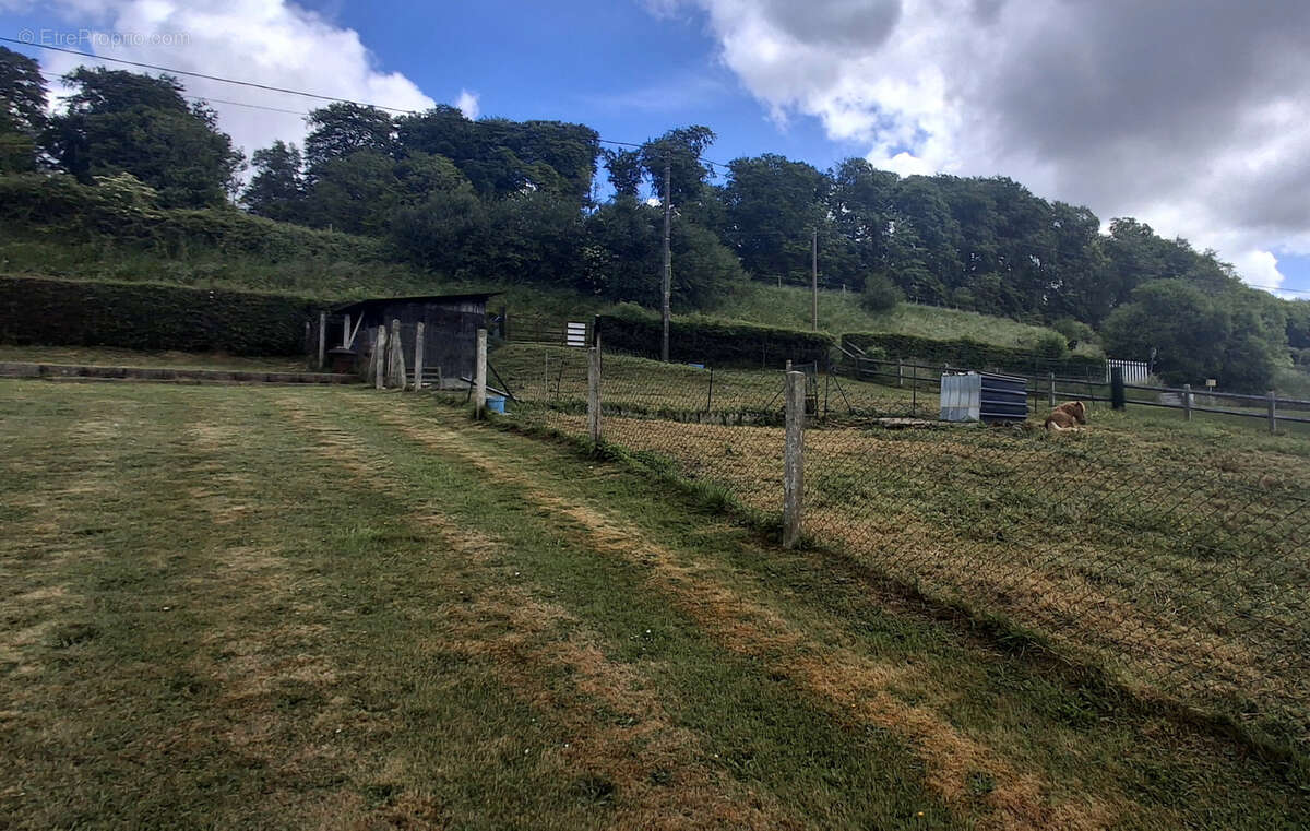 Terrain à SAINT-SAENS