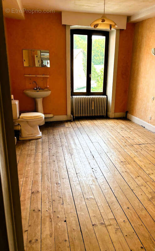 Maison à FERRIERES-SUR-SICHON