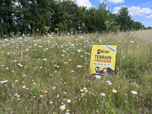 Terrain à VILLEFAGNAN