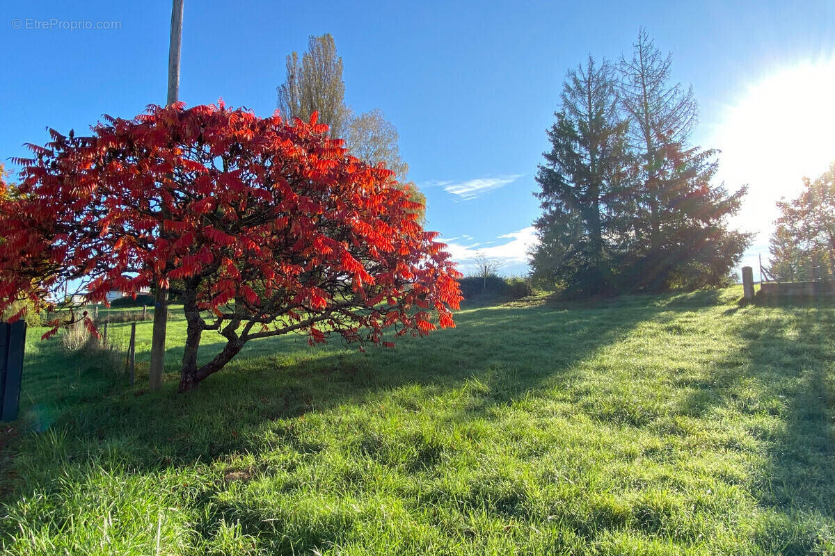 Terrain à GUNDERSHOFFEN