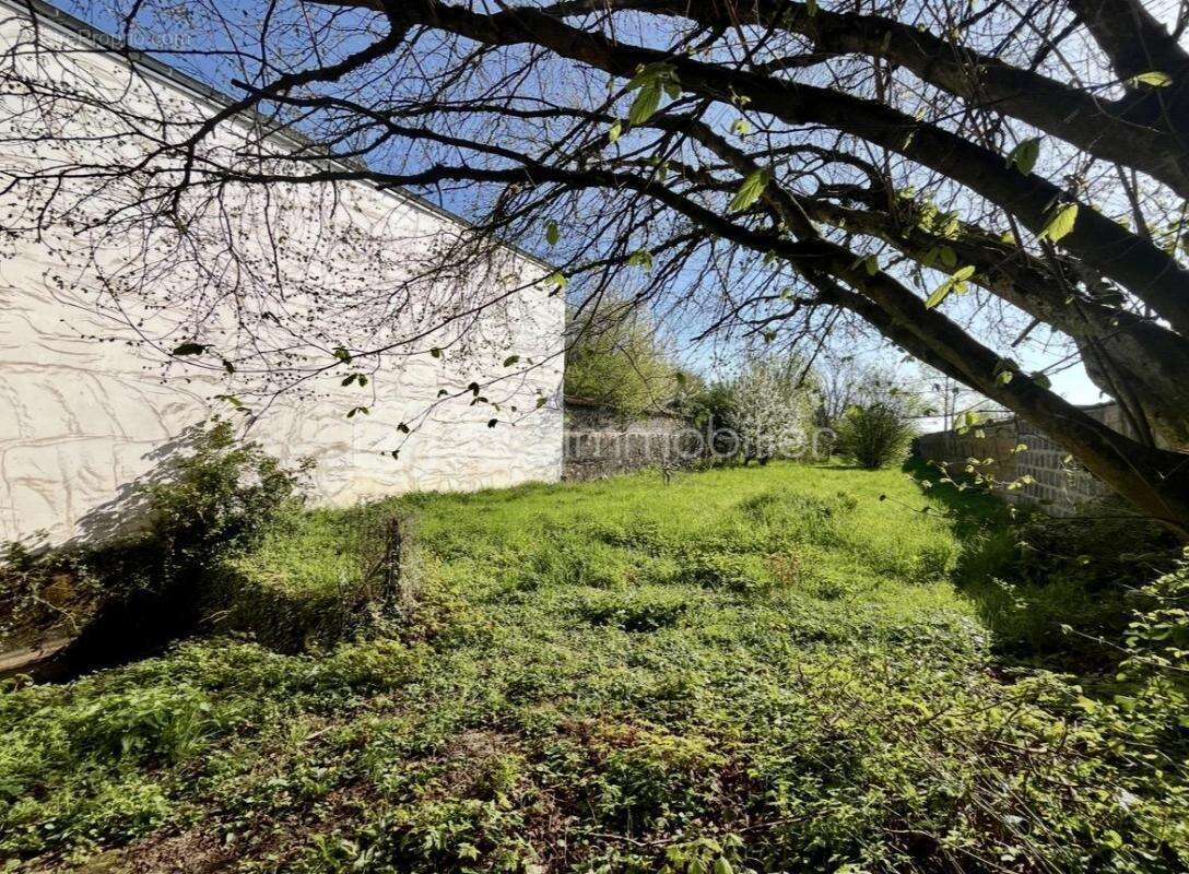Maison à CRECHES-SUR-SAONE