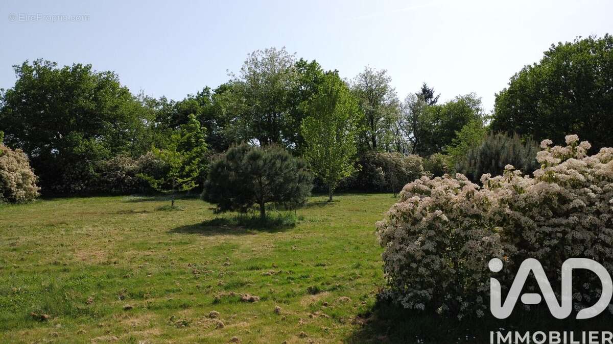 Photo 4 - Maison à MONTPON-MENESTEROL