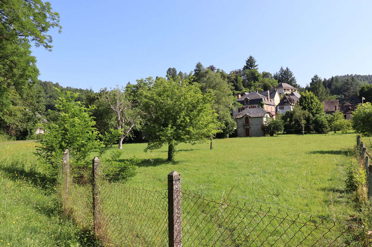 CORREZE. ST CHAMANT. Magnifique grande maison en pierre avec 5 chambres, dépendance et jardin de 3112m2. - photo 18