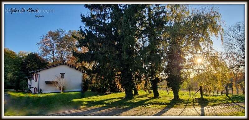 Maison à PONT-DE-VEYLE