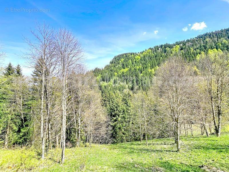 Chalet_D'Alpage_Brizon_Bonneville_secteur_calme_Nature_Residence_Secondaire_vue_montagne_rare_Atypique_frontière_Suisse_Genève_FRONTALIERS_salon_cuisine_terrain_boisé_ - Maison à BRIZON