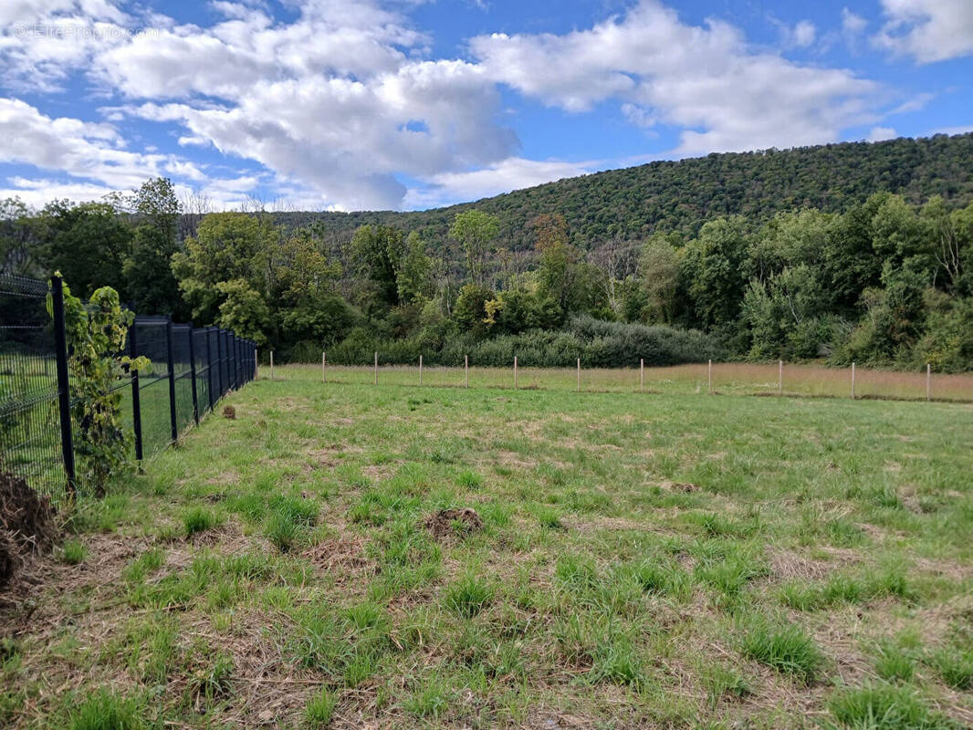 Terrain à BRAILLANS