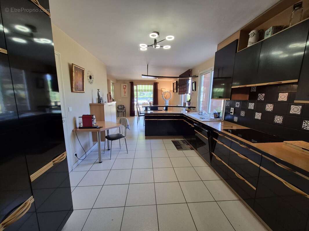 À vendre, Castelnau-Magnoac (Hautes-Pyrénées): Villa d'architecte 4 chambres, espace de vie ouvert, un garage/atelier et une pis - photo 11
