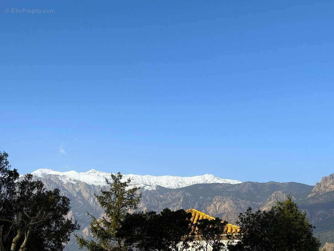 Terrain à SARI-SOLENZARA