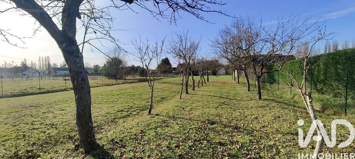Photo 8 - Maison à ROMORANTIN-LANTHENAY