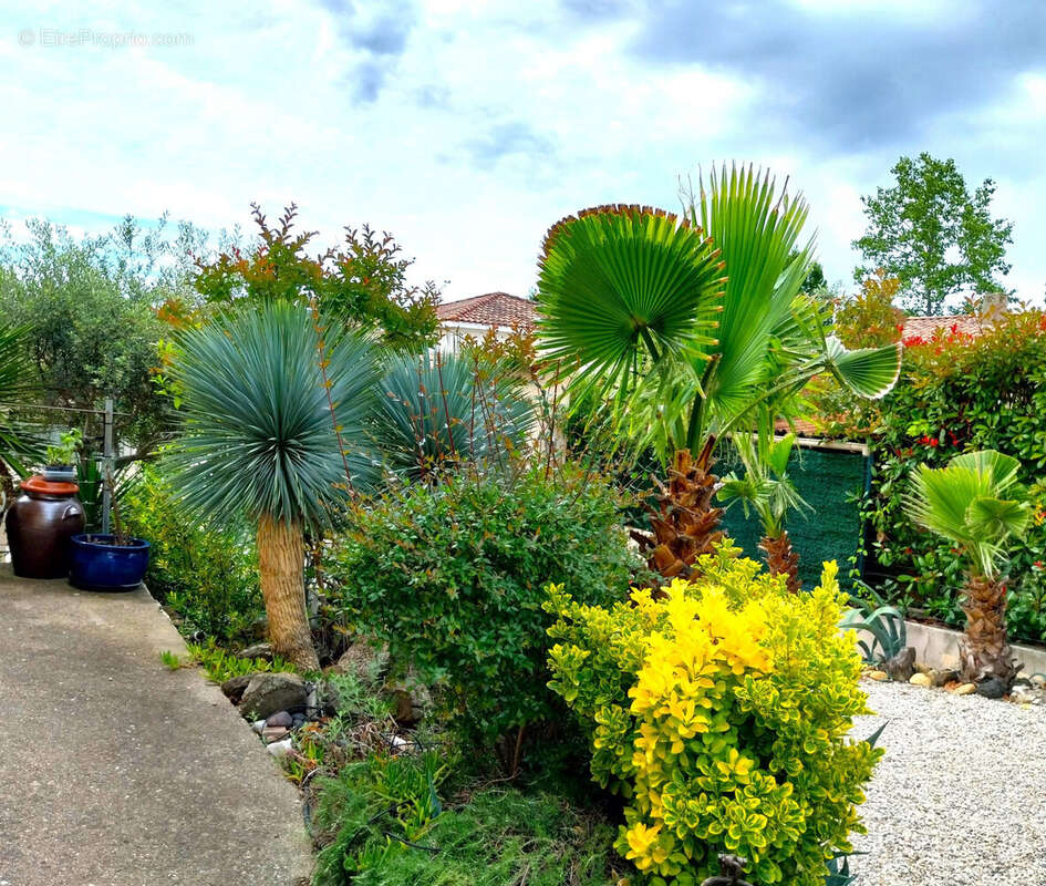 Maison à CLERMONT-L'HERAULT