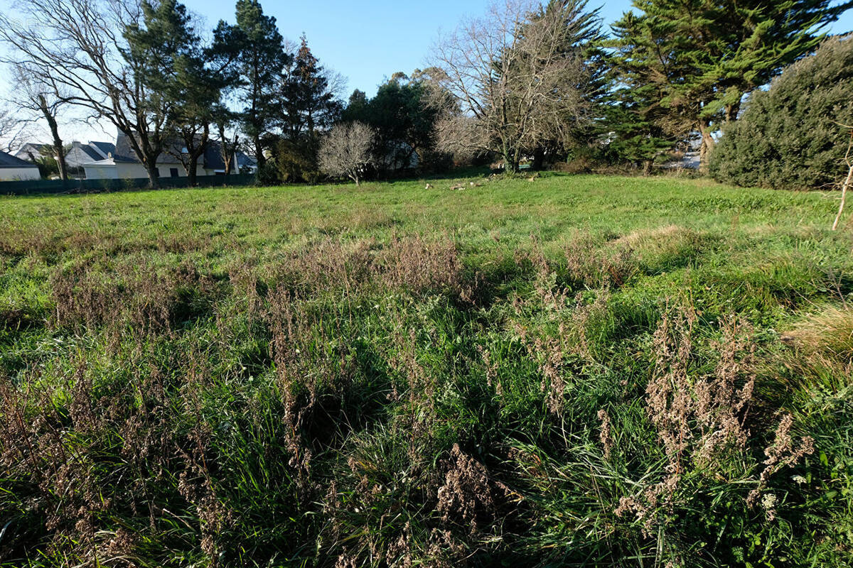 Terrain à SARZEAU
