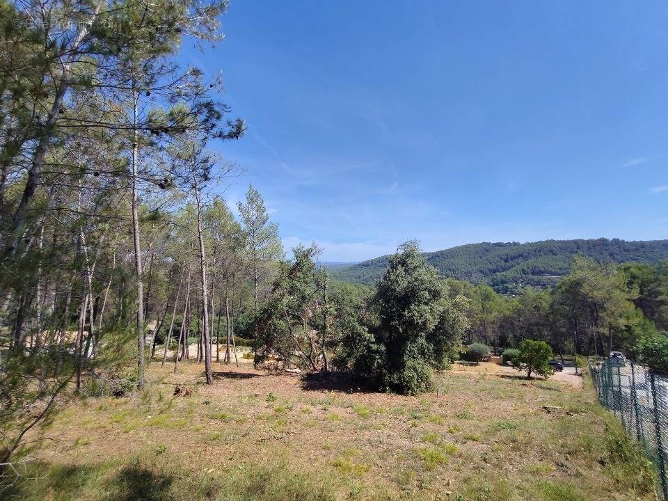 Terrain à TARADEAU