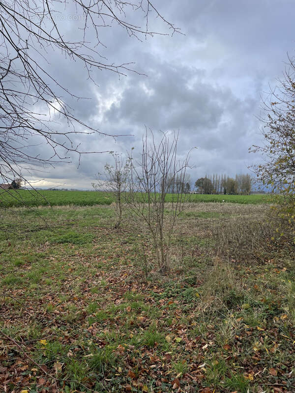 Terrain à CAMPHIN-EN-PEVELE