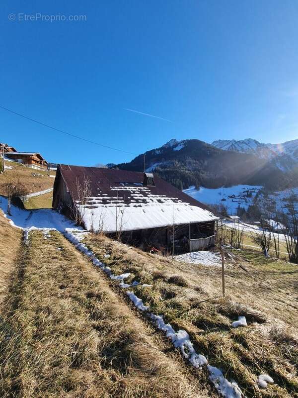 Maison à ABONDANCE