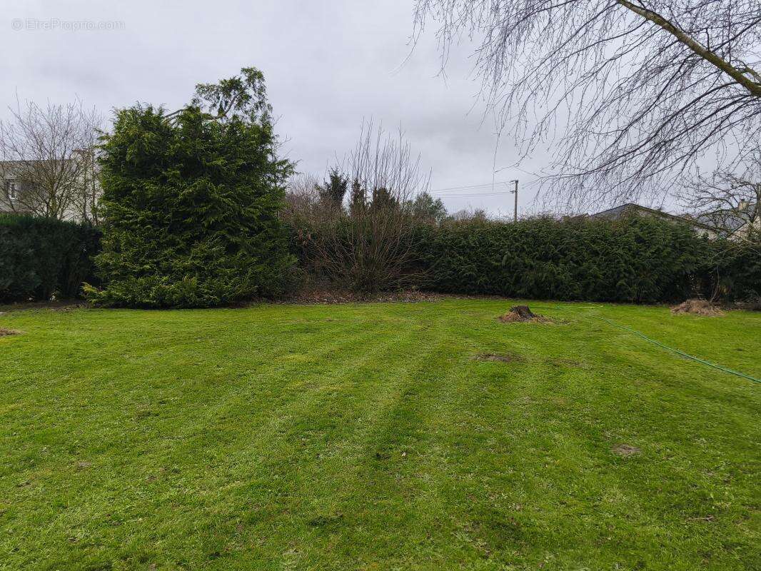 Terrain à PLUMAUDAN