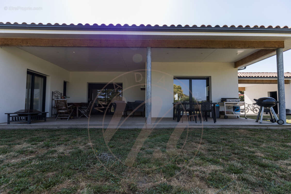 Attention, bien rare aux portes de Mont-de-Marsan… - photo 2