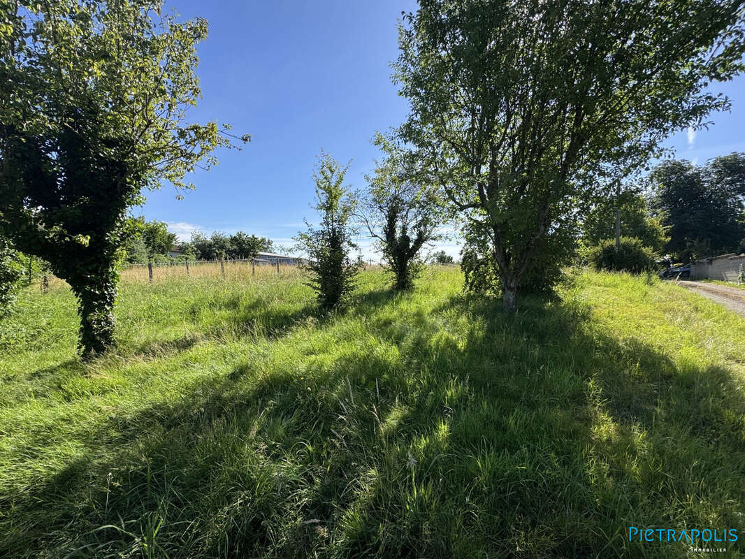 Terrain à SAINT-JULIEN-SUR-VEYLE