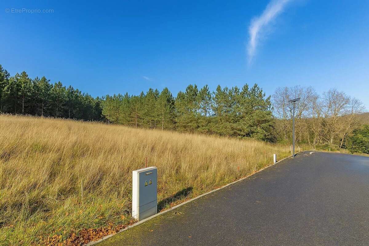 Vente Terrain Puymirol(47270) 75 000ï¿œ - photo 2