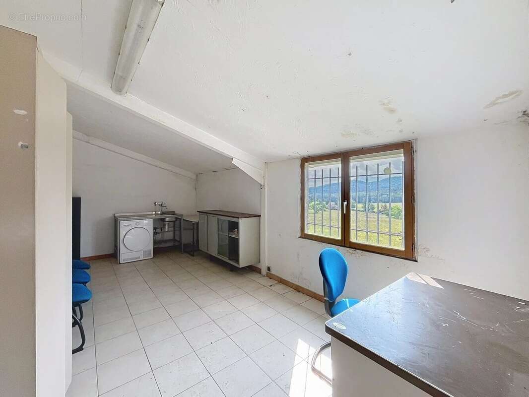 Commerce à PEYROULES