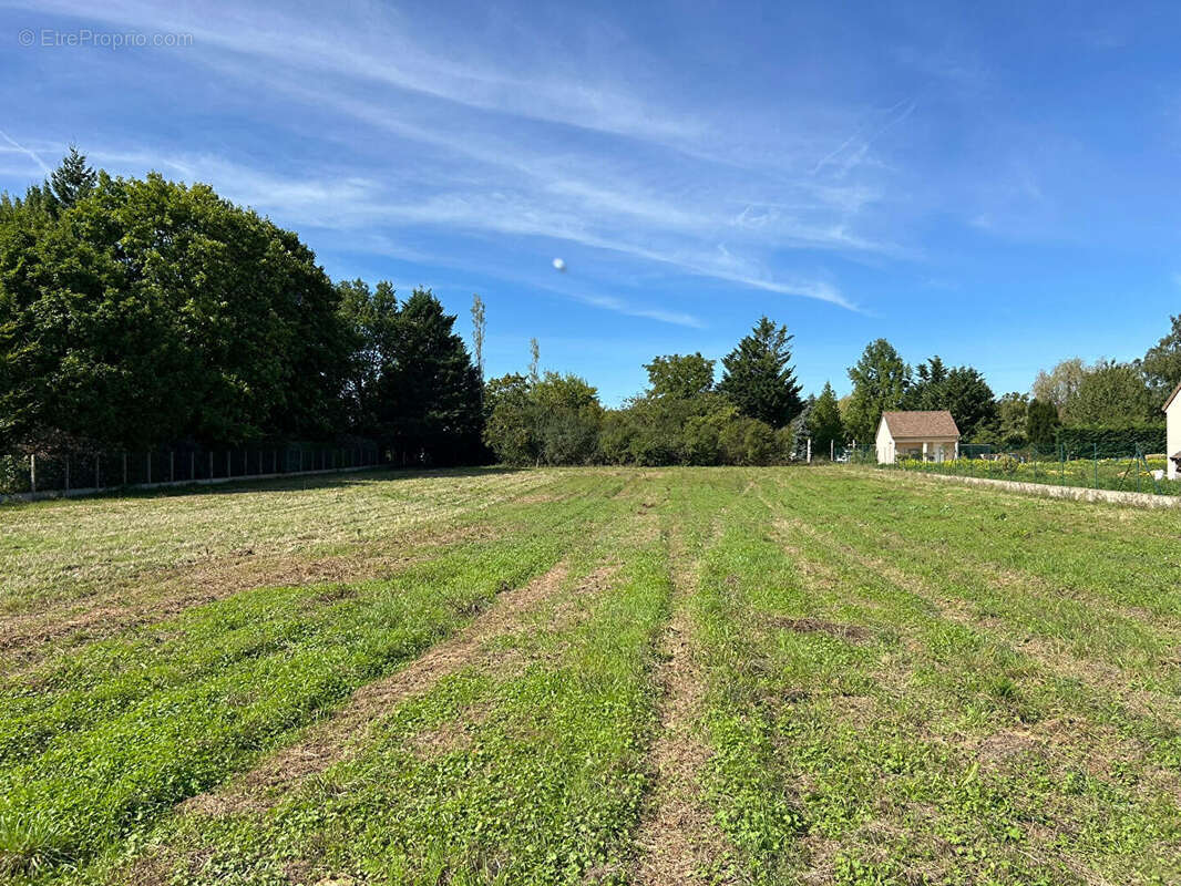 Terrain à MONTIGNY-SUR-LOING
