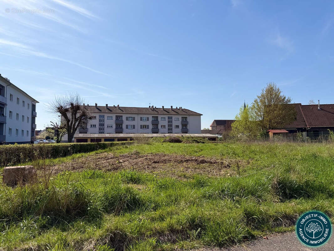Monswiller  superve parcelle 9,75 ares - photo 2