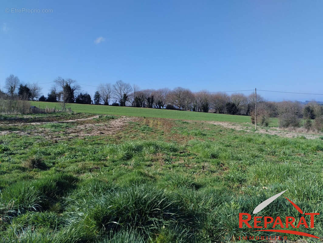 Terrain à VIGNOLS