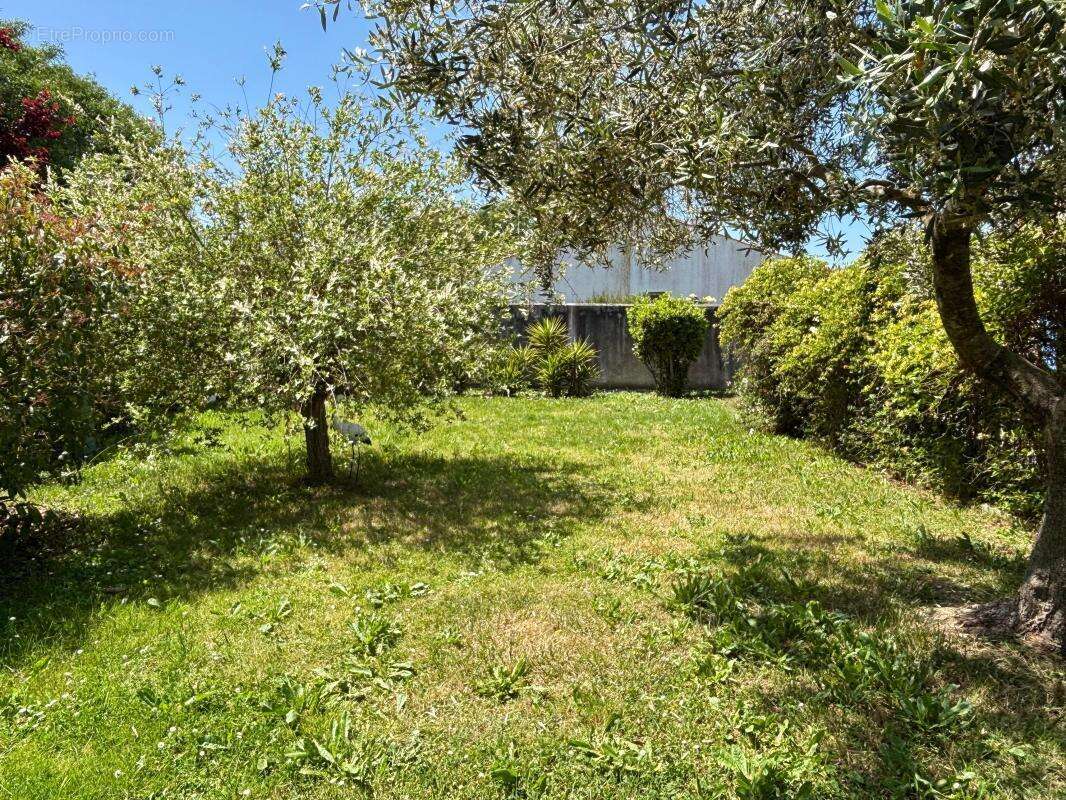 Maison À Vendre - photo 14