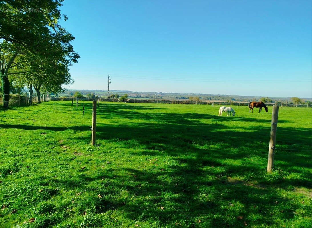 Maison à OUROUER-LES-BOURDELINS