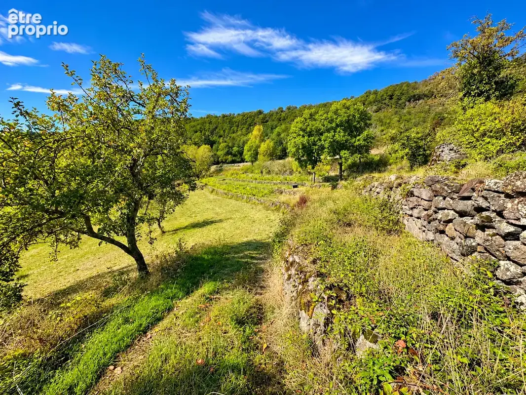 Terrain 2 971 m2   Possibilité de 2 constructions   Vue exceptionnelle   Polignac - photo 5
