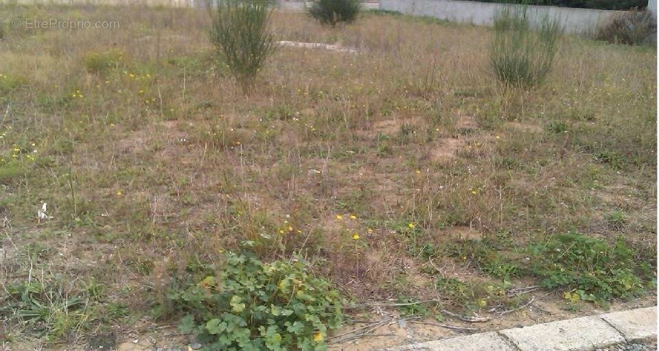 Terrain à AIGUES-VIVES