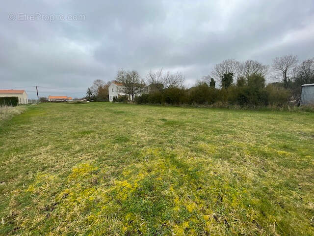 Terrain à ARCES