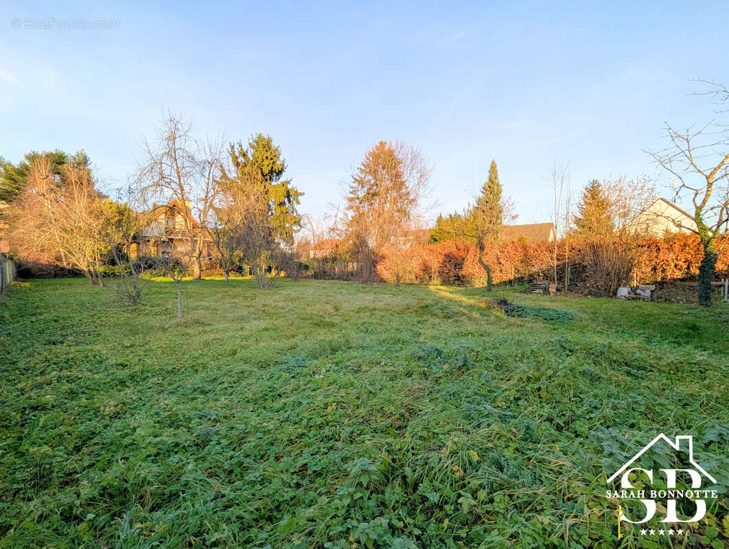 Terrain à HEGENHEIM