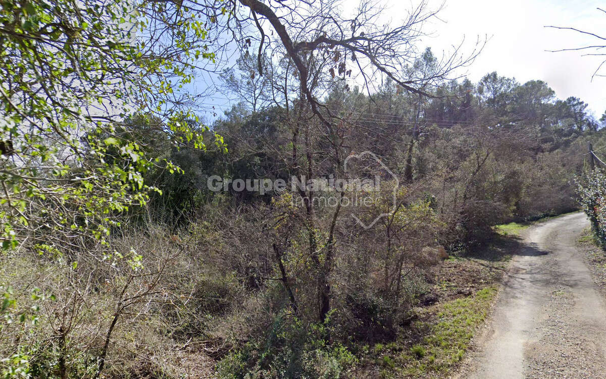 Terrain à LE THORONET