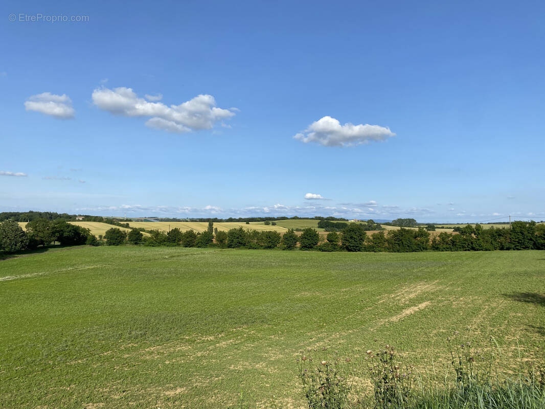 Terrain à LABASTIDE-BEAUVOIR