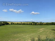 Terrain à LABASTIDE-BEAUVOIR